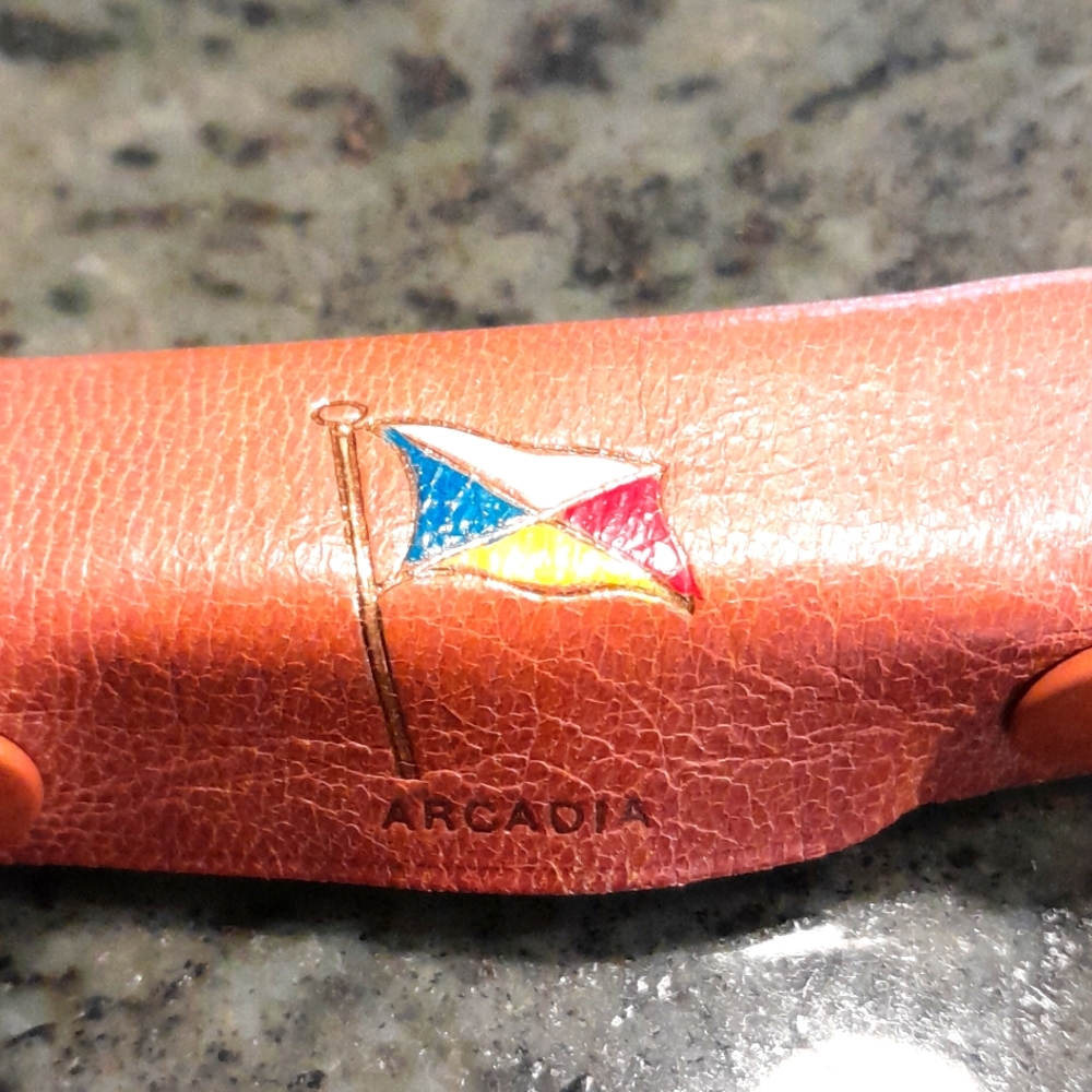 Arcadia Bakelite Poker Dice Set in Leather Case, Vintage